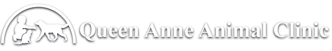 Queen Anne Animal Clinic